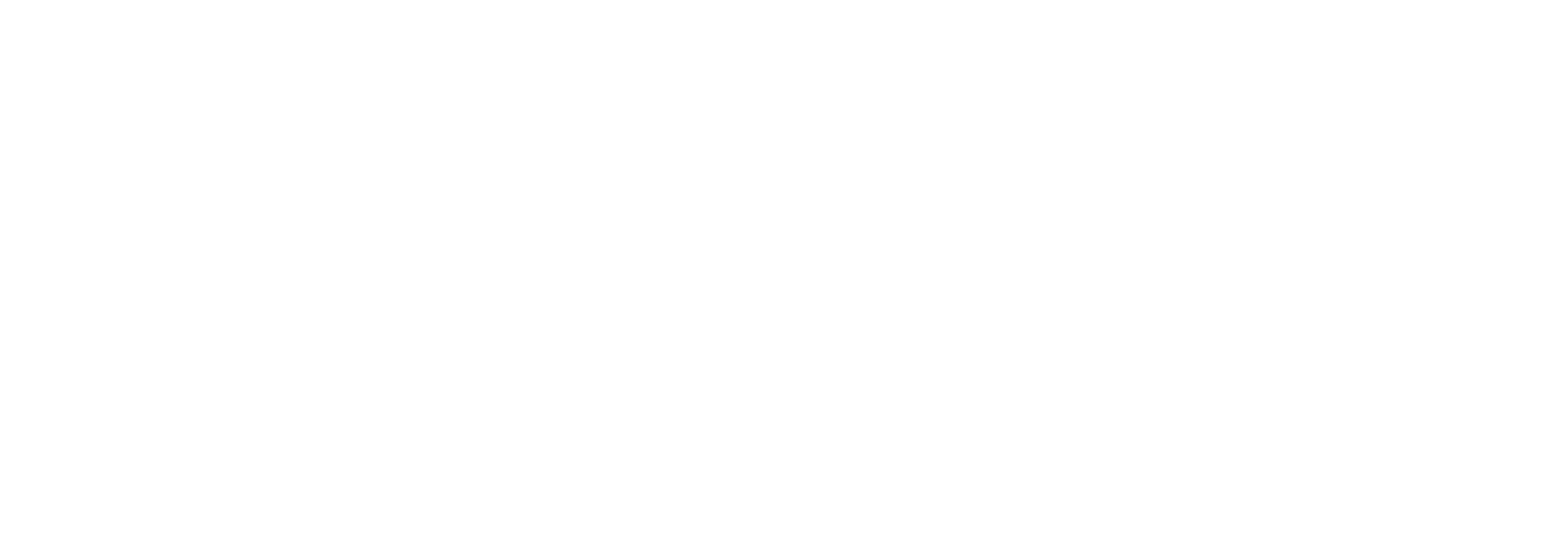 Shruti Techno Sales - logo